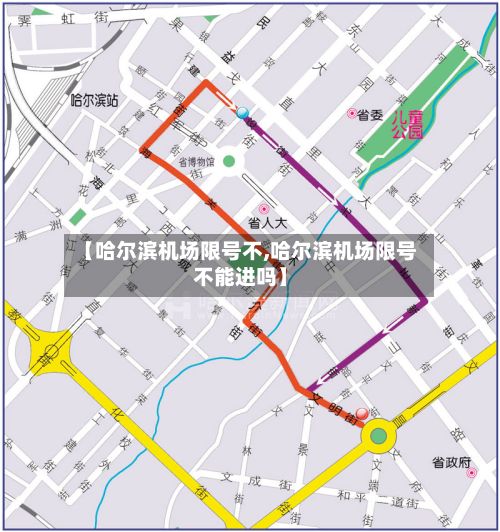 【哈尔滨机场限号不,哈尔滨机场限号不能进吗】-第3张图片