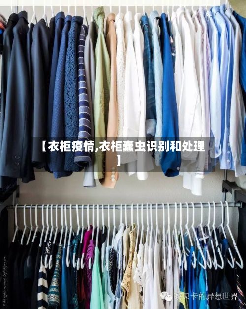 【衣柜疫情,衣柜蠹虫识别和处理】-第3张图片