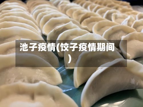 池子疫情(饺子疫情期间)-第2张图片