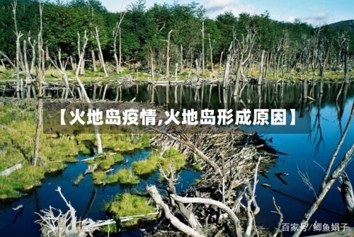 【火地岛疫情,火地岛形成原因】-第2张图片
