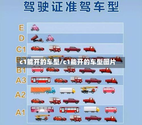 c1能开的车型/c1能开的车型图片-第2张图片