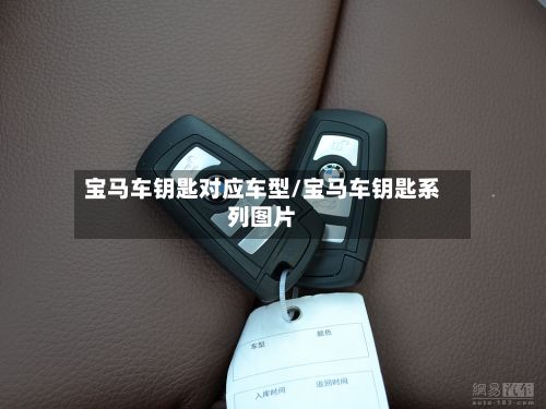 宝马车钥匙对应车型/宝马车钥匙系列图片