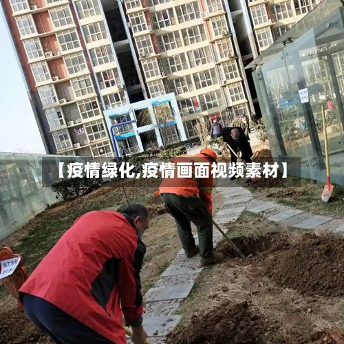 【疫情绿化,疫情画面视频素材】-第2张图片