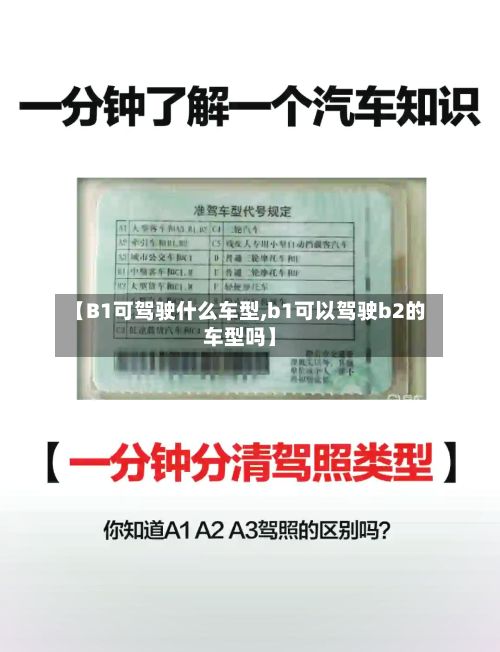 【B1可驾驶什么车型,b1可以驾驶b2的车型吗】