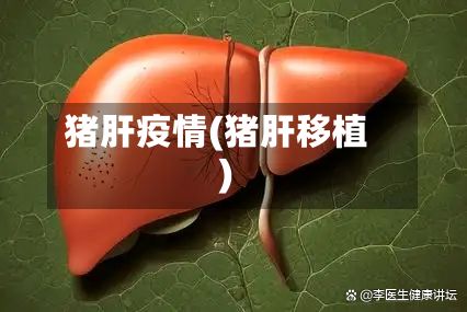猪肝疫情(猪肝移植)