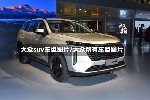 大众suv车型图片/大众所有车型图片