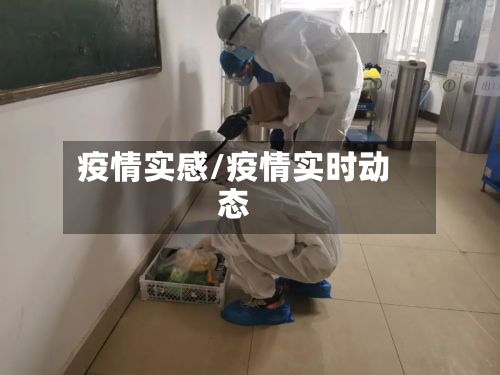 疫情实感/疫情实时动态